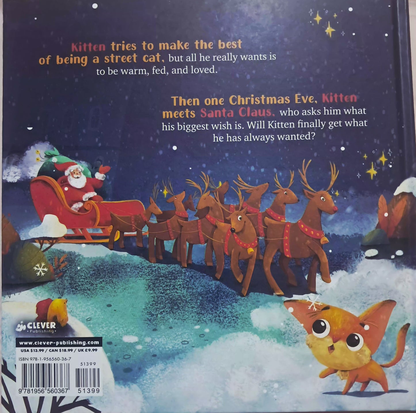 Kitten's Christmas Wish