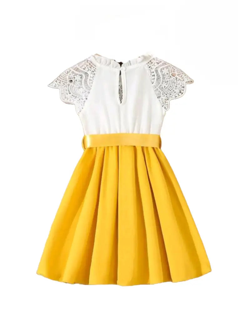 Buttercup Lace Charm Dress Dresses