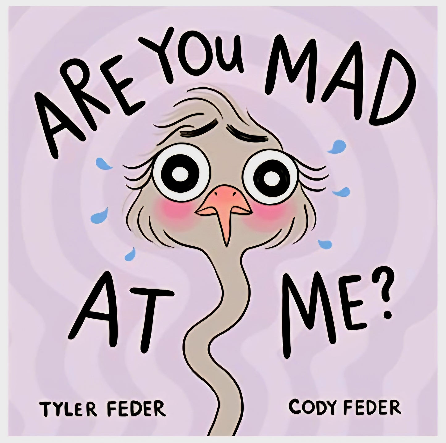 Are You Mad At Me?